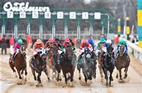 Race Day Changes; Cancellations; Workouts; Carryovers; Entries Plus; Race Dates & Calendar. . Oaklawn park entries equibase